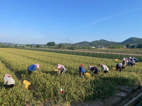 의성군, 내년도 외국인 계절근로자 참여 농가 신청 접수
