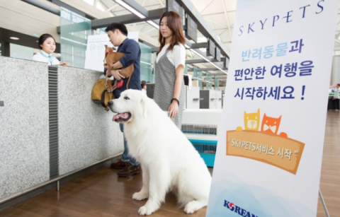 '대한항공' 이용 반려동물수 4년만에 두 배 늘어