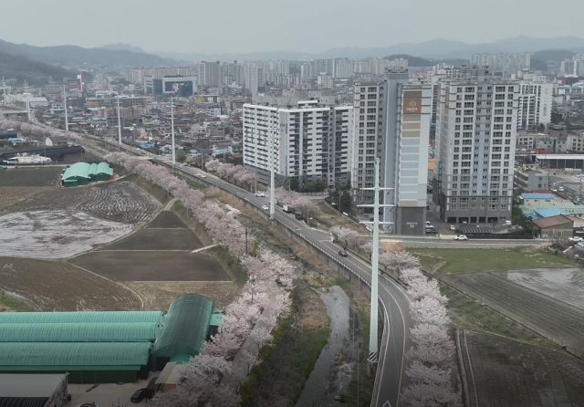 상주 도심 전선지중화사업 착공전 모습. 30m높이의 고압송전철탑이 도심을 관통하고 있다. 상주시 제공
