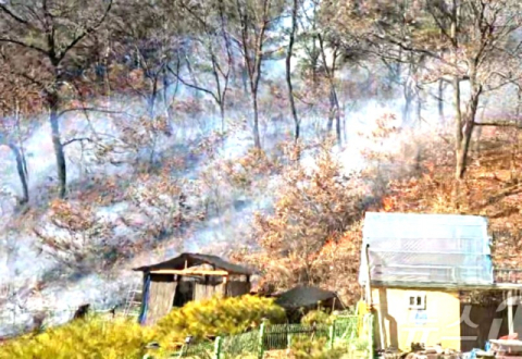 경북 영천시 고경면 야산서 산불, 인명 피해 없어