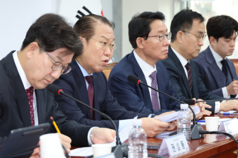 국힘 