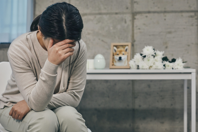 펫로스 증후군(Pet Loss Syndrome)이란 자신의 반려동물이 사라진 것에 대한 극심한 슬픔과 우울감을 경험하는 정서적 상태를 말한다. 게티이미지벵크
