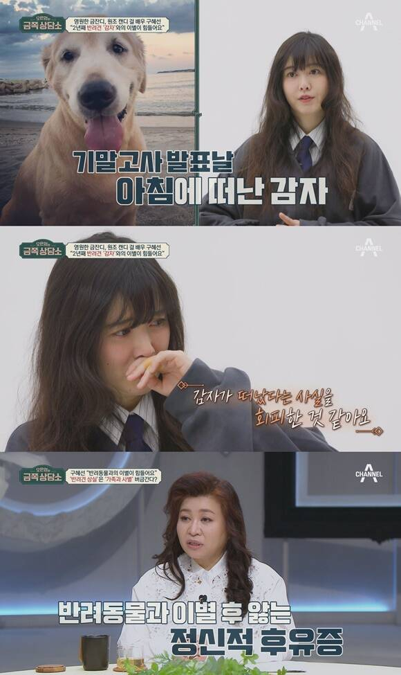 배우 구혜선이 채널A 예능프로그램