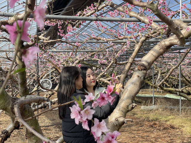 경산시 제공
