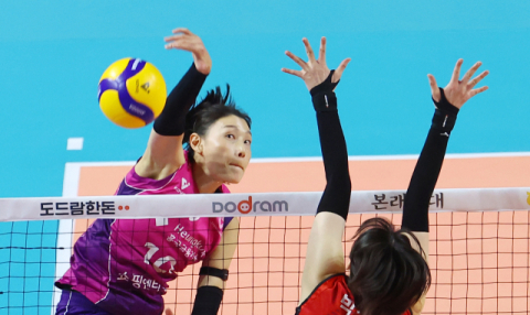 김연경 