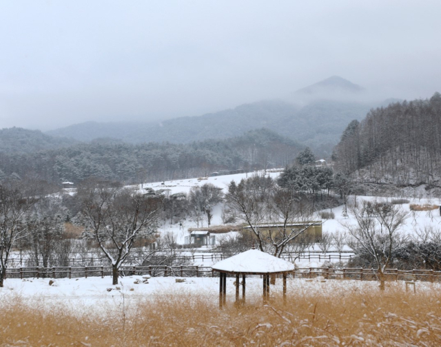 국립백두대간수목원 전경. 한국수목원정원관리원 제공