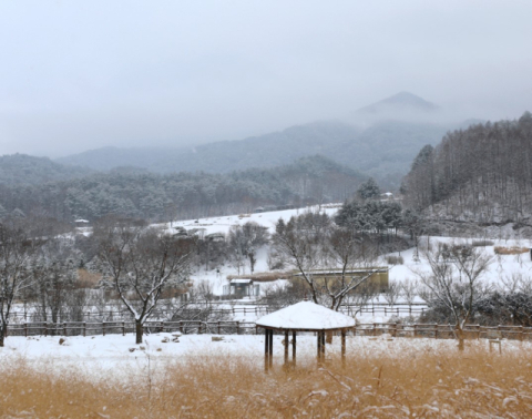 전국 수목원 3·1절 연휴기간 무료개방 