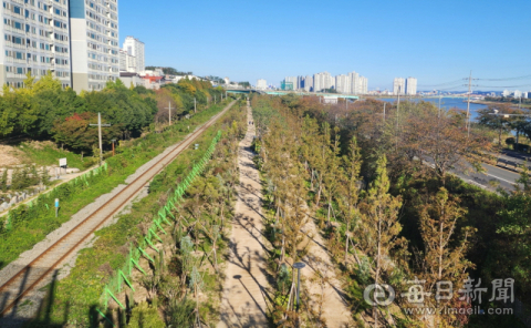 포항-경주 관문에 대단위 도시숲 조성…상반기 중 완전 개방 