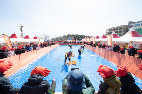 영덕대게축제, 올해는 관광객들을 위해 '더더더' 열심히