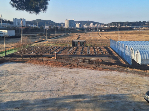 왕피천공원 주말농장 운영한다