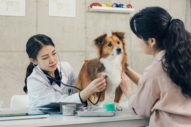 반려동물 건겅검진은 보호자의 관심과 정기적인 건강검진만으로도 사랑하는 반려동물과의 행복한 동행이다,