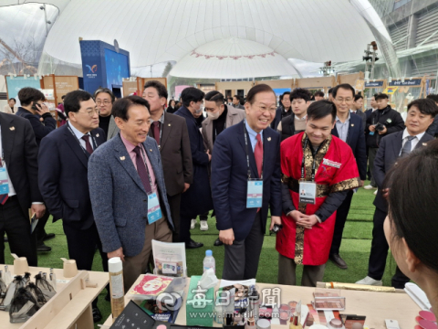 권영세 국힘 비상대책위원장 