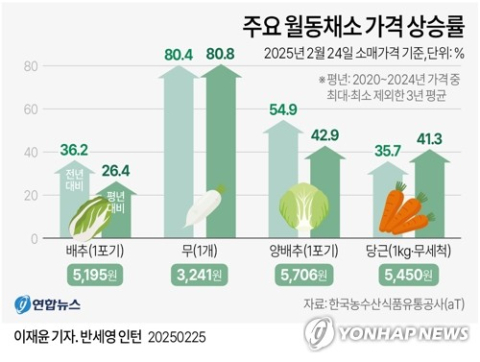 배추·무 가격 고공행진 계속…비축물량 풀고 수입물량 도입 확대