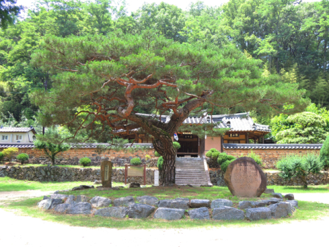 [전국 광복(해방)기념물을 국가유산화하자] <상>전국 5곳 광복 기념식수