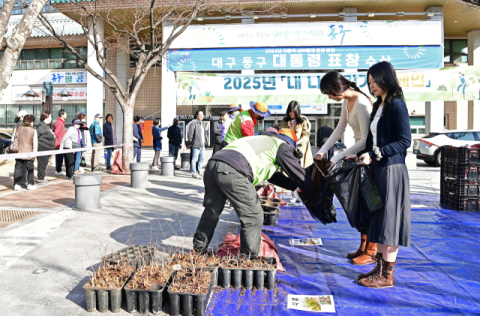 대구 동구, '내 나무 갖기 캠페인' 큰 호응