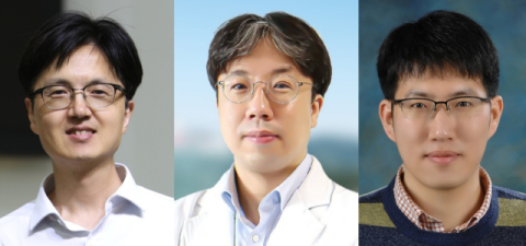DGIST, 세계 최초 유산균으로 자궁경부암 예방의 새로운 열쇠를 찾다