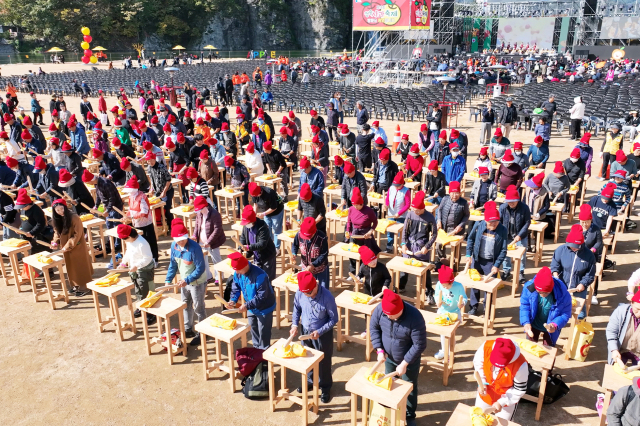 지난해 열린 청송사과축제는 5일간 지역에 286억원의 직접경제효과를 낸 것으로 나타났다. 청송군 제공