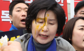 헌재 앞 野 의원들에게 계란 투척…경찰 