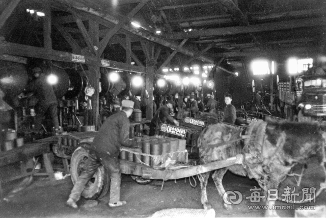 1960년대 칠성동 대성연탄 공장(대성그룹 모태) 직원들이 말수레로 연탄을 출하하고 있다. 당시 연탄은 겨울철 대표 난방 연료로, 사무실과 가정에서는 대부분 연탄 난로나 연탄 보일러를 사용했다. 사진=매일아카이빙센터
