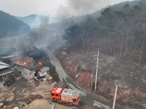 산불 피해면적 1천㏊ 이상으로 확대돼 산림보호법 따라 청장이 직접 지휘 [영상]