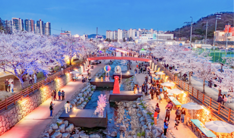 구미 도심 봄축제 사라졌다…금오천 벚꽃페스티벌 무산에 '아쉬움'