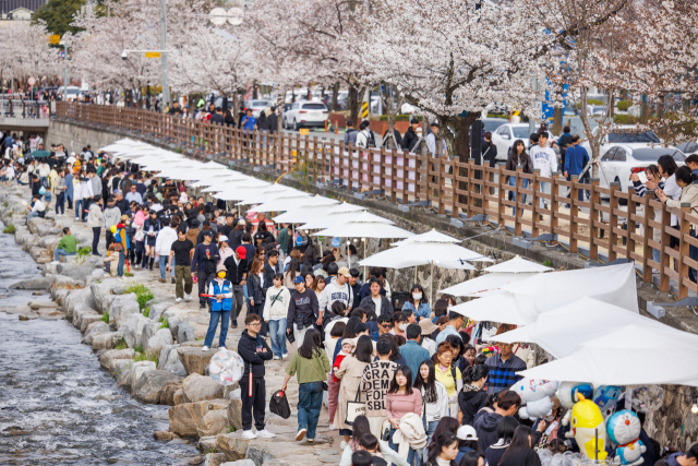 구미 금오천 벚꽃페스티벌 무산…시민들 