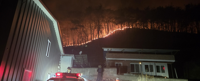 25일 새벽 안동시 길안면 백자리 산불 화재현장. 매일신문 제공