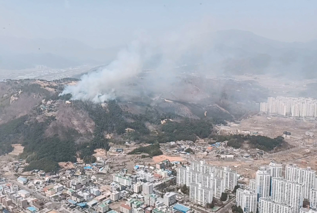 25일 울산시 울주군 언양읍 한 야산에서 불이 나 연기가 피어오르고 있다. 연합뉴스