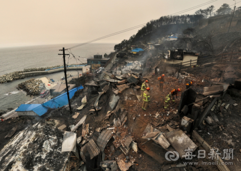의성 산불 덮친 영덕, 농·어민 피해 '눈덩이'…경북도, 피해 복구에 만전
