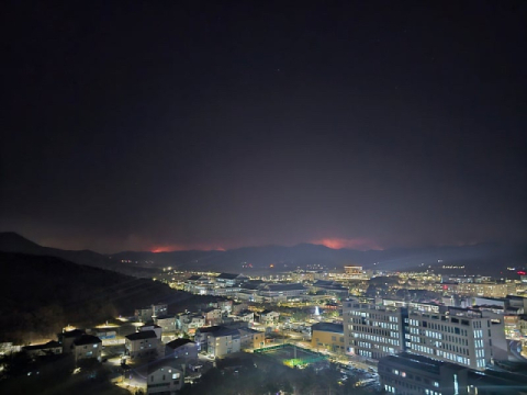 예천 코앞까지 다가온 산불…경북도청 신도시 긴장 최고조