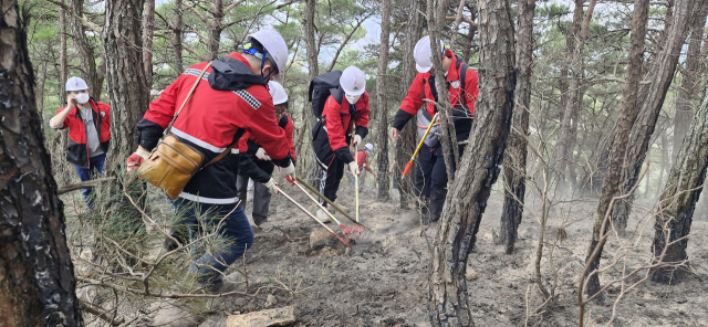 26일 오후 대구 달성군 화원읍 함박산 8부 능선에서 발생한 산불이 소방당국과 달성군 등 관계기관의 밤샘 진화 끝에 27일 오전 주불을 제압했다. 공무원들이 잔불 정리를 하는 모습. 달성군 제공.