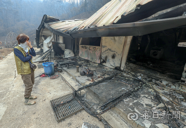 27일 경북 영양군 석보면 화매리에서 한 주민이 산불에 전소된 집에서 망연자실하고 있다. 지난 22일 의성에서 발생한 산불이 안동, 청송, 영양, 영덕 등 인근 지역으로 확산하면서 수십명의 사망자가 발생했다. 안성완 기자 asw0727@imaeil.com