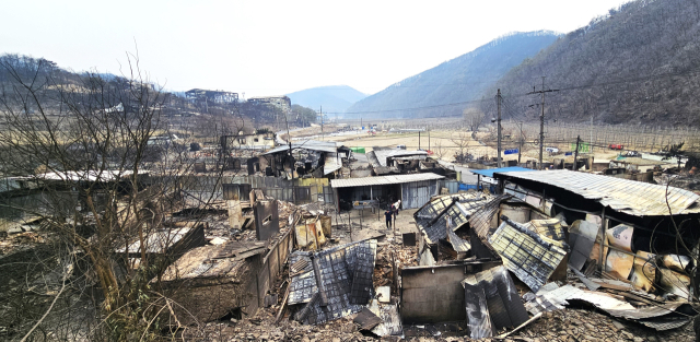 양쪽에 산을 끼고 계곡에 형성된 안동시 임하면 추목리 마을은 앞산에서 불기둥이 솟구치고 채 5분도 안돼서 마을 전체가 불바다로 변해버렸다. 엄재진 기자