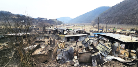 7km 계곡에 형성된 한마을 쑥대밭…