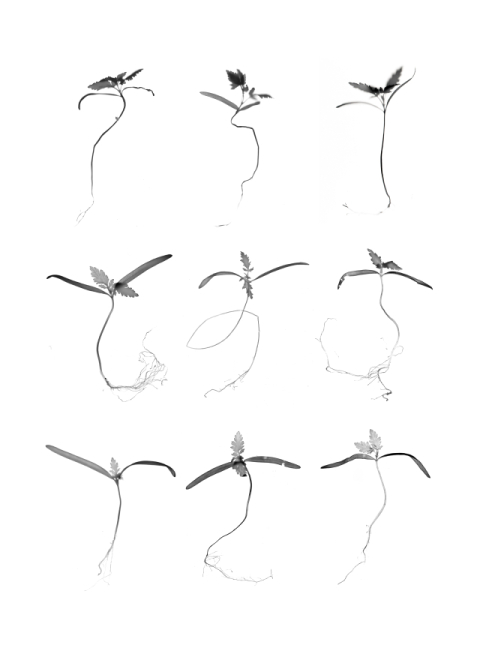 대구사진비엔날레의 해 맞아…예술상회 토마, 릴레이 사진전 개최