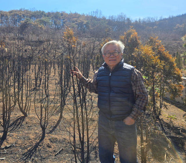 30일 경북 의성군 단촌면에서 이동필 전 농림축산식품부장관이 지난 7년 간 키워 온 조경수가 이번 의성 산불로 모두 불에 탄 상황에 대해 설명하고 있다. 이 전 장관은 이번 산불이 단순한 피해에 그치지 않고 우리나라 농산물 가격과 지역소멸에 큰 악영향을 줄 수 있을 것으로 내다봤다. 김영진 기자