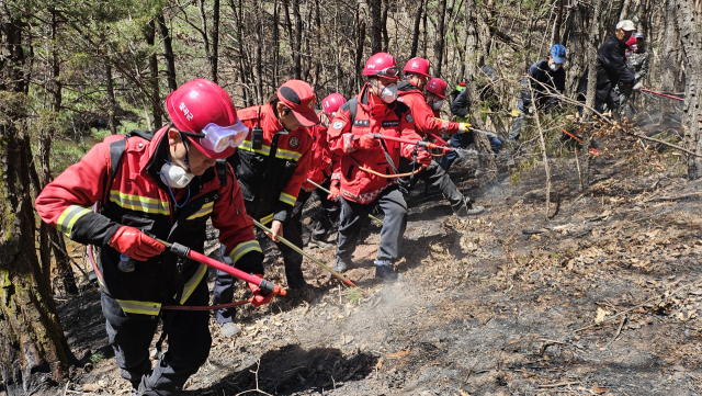 20일 의성군 신평면 중율리에서 칠곡군 산불전문예방진화대원들과 주민들이 잔불 진화작업을 벌이고 있다. 장성현 기자