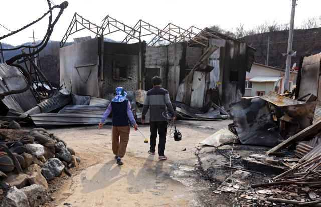 31일 청송군 진보면 기곡리의 한 마을이 산불로 모두 폐허가 된 가운데 이재민들이 농사를 짓기 위해 농기구를 들고 발걸음을 옮기고 있다. 김영진 기자 kyjmaeil@imaeil.com