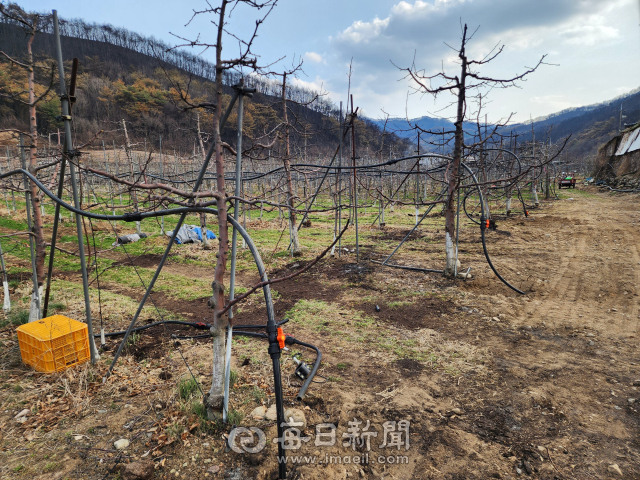 1일 안동시 길안면 백자리 한 과수원. 관수시설이 모두 불에 타 급하게 농가에서 새 시설을 마련하는 모습. 전종훈 기자
