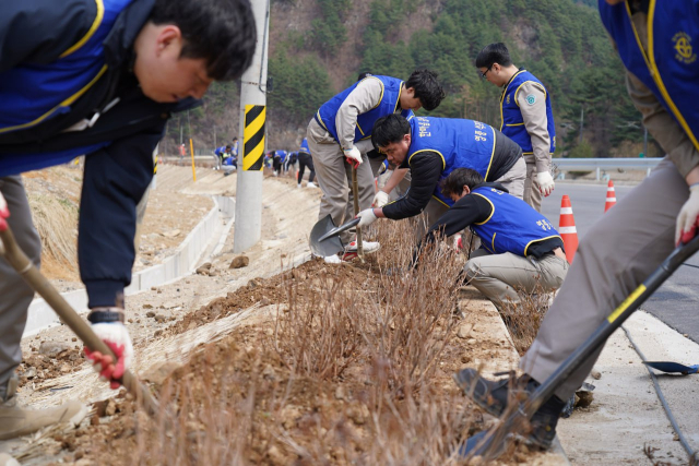 영풍 석포제련소와 석포면사무소 직원들이 지난 2일 석포면 일대에 꽃나무를 심었다. 석포제련소 제공