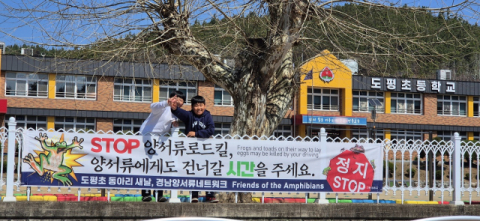 청송 도평초, 'STOP 양서류 로드킬' 캠페인 펼쳐