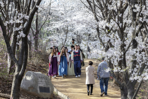 대구권大 외국인 유학생 2배↑…