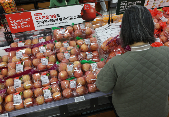 경북 지역에서 최근 일어난 산불로 사과 공급이 다소 감소할 것으로 보인다. 사과 외에도 봄배추, 마늘, 건고추 등의 품목 수급에 영향이 있을 것으로 예측된다. 사진은 7일 서울 한 대형마트에 사과가 진열돼 있다. 연합뉴스