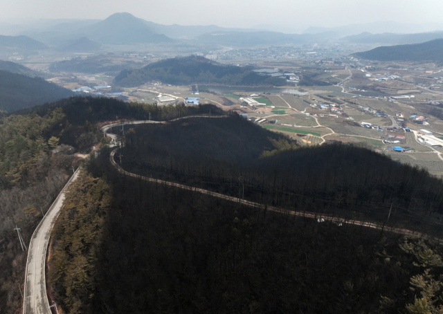 산불로 야산이 모두 불에 탄 경북 청송군의 모습. 연합뉴스