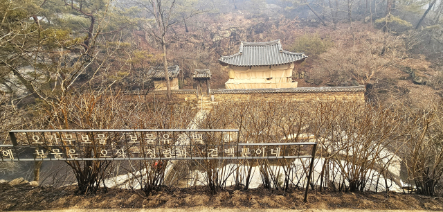 안동시가 산불 피해 극복을 위한 특별한 캠페인을 추진한다. 