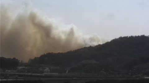 [속보] 경북 구미 도개면 산불 '주민대피 문자 발송'