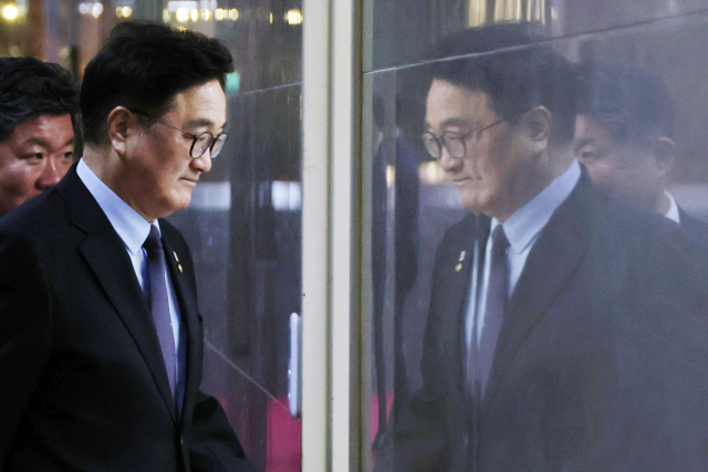 대선·개헌 