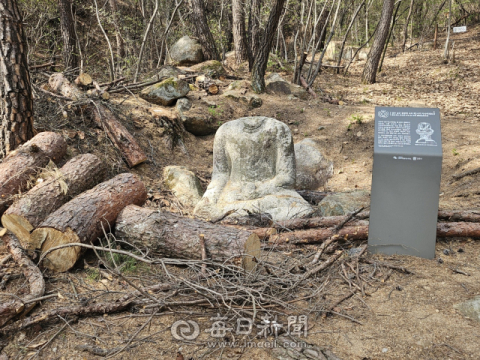 재선충 방제 작업에…경주국립공원 남산 내 문화유산 훼손 우려   
