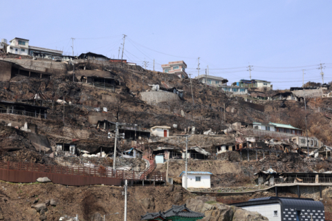 국힘·민주 '영남권 산불지원특별법' 제정 속도 내나