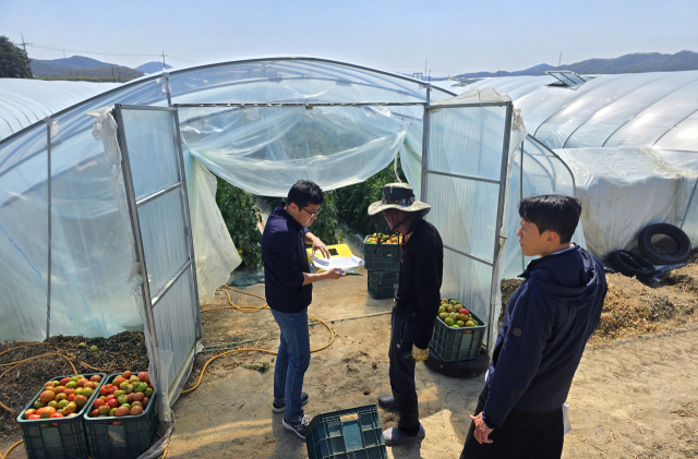 대구 달성군 농업기술센터 관계자들이 달성지역 토마토 재배농가를 찾아 토마토뿔나방 방제 지도를 하고 있다. 달성군 제공.